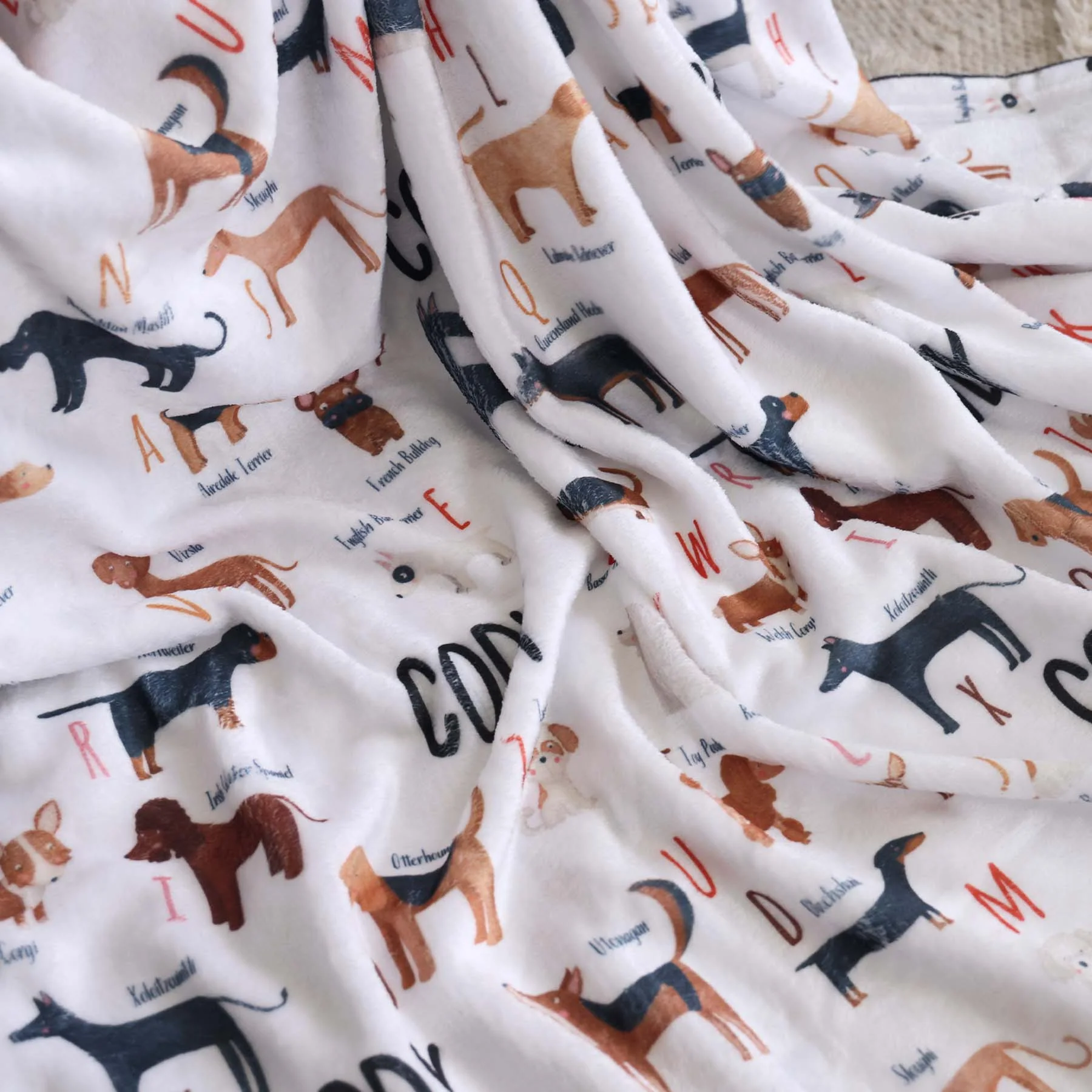 ABC Paw-ty Personalized Kids Blanket - Image 5