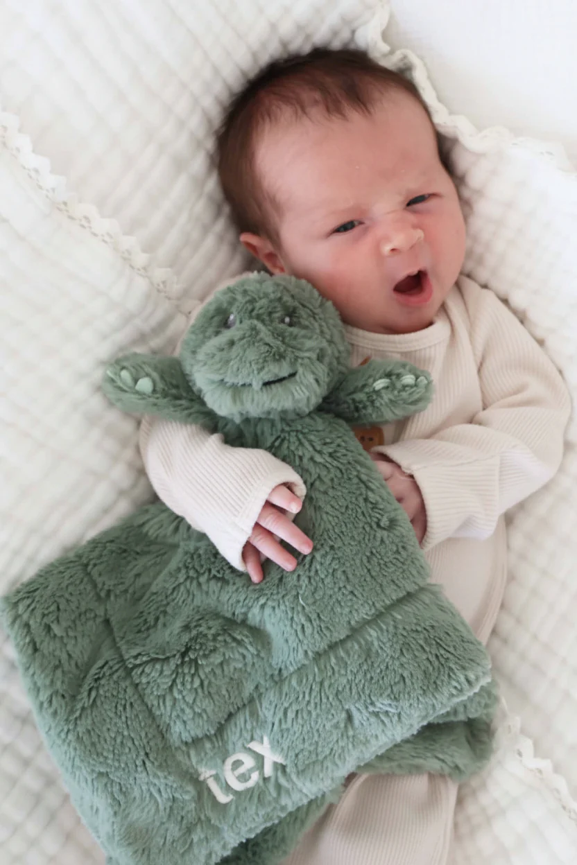 Cuddle Plush Friends | Lovey - Image 12