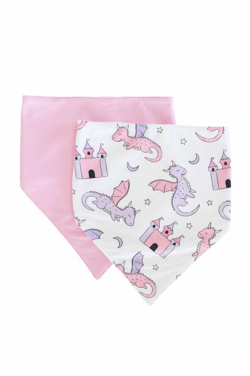 Dragon Adventure 2pc Bandana Bibs | Pink