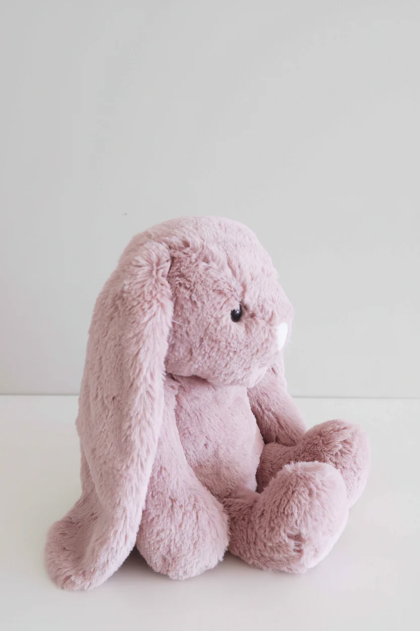 Embroidered Large Cuddle Plush Friends | Honey Bunny - Image 20