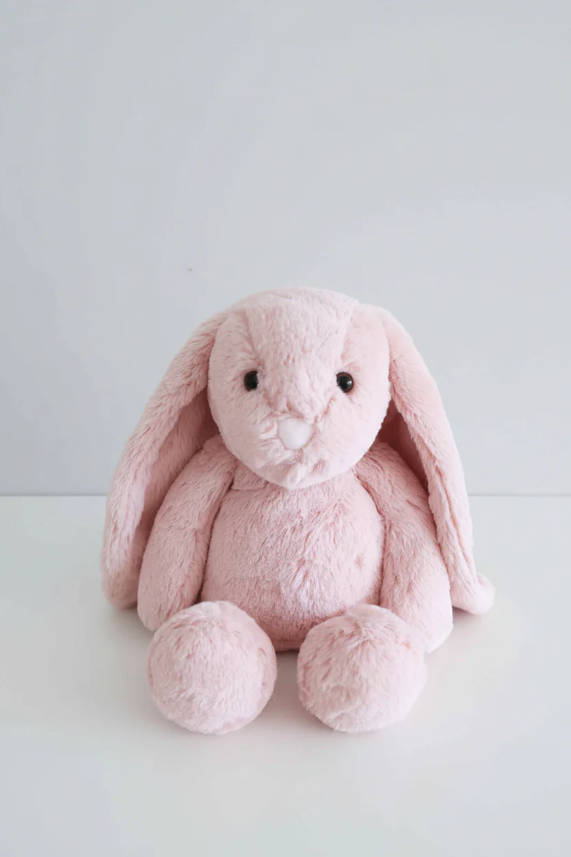 Embroidered Large Cuddle Plush Friends | Honey Bunny - Image 5