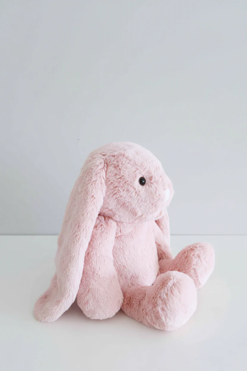 Embroidered Large Cuddle Plush Friends | Honey Bunny - Image 8