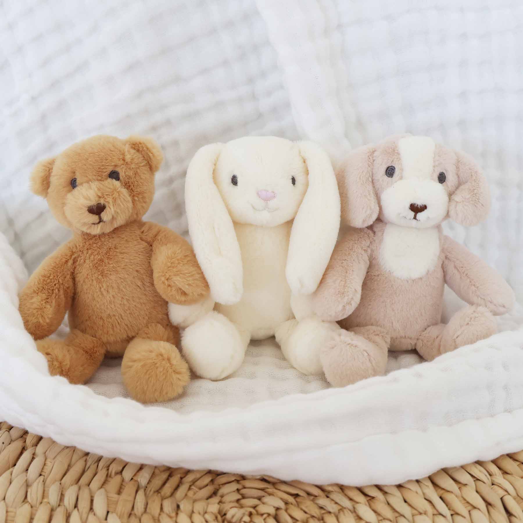 Mini Cuddle Plush Friends | Bodhi Bear - Image 2