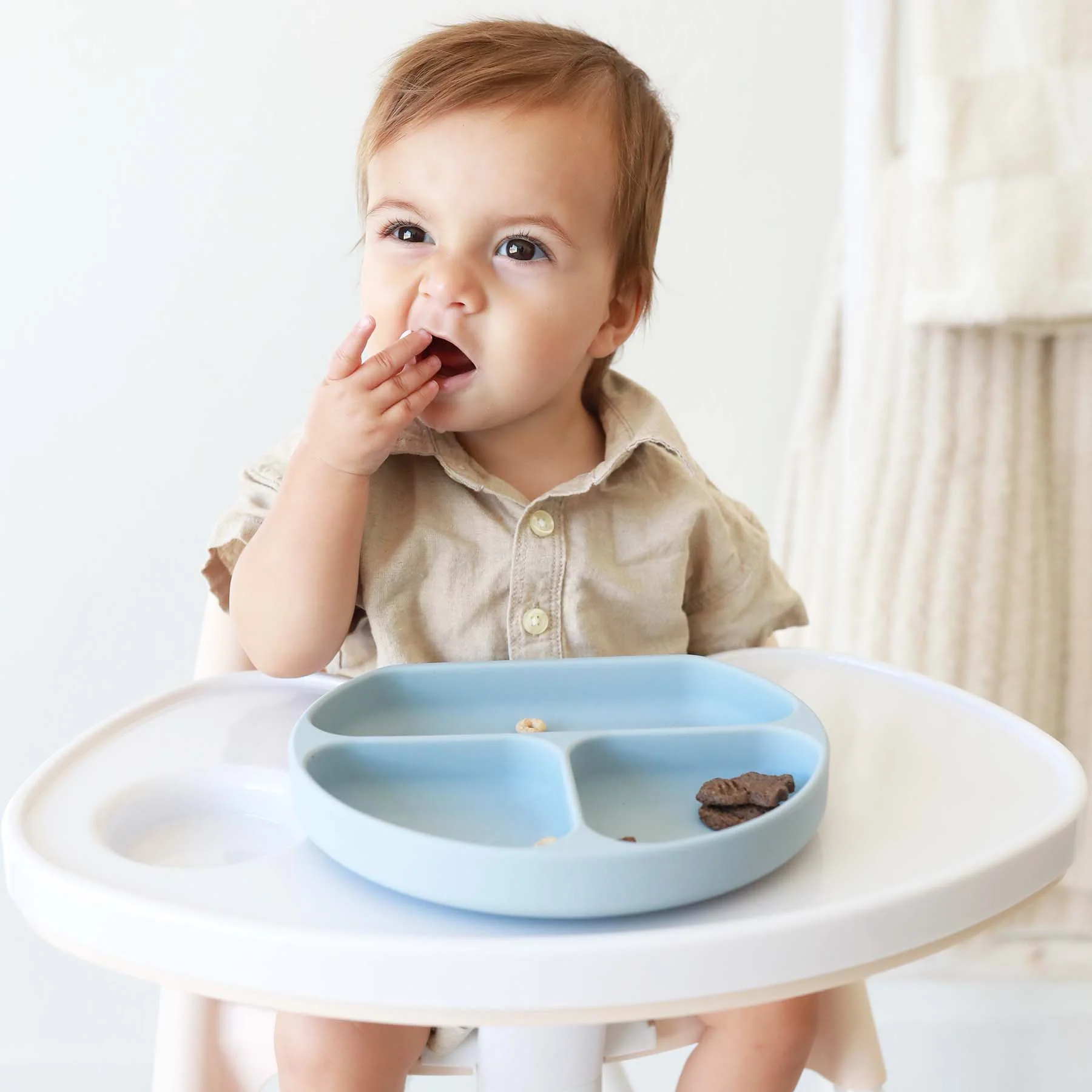 Silicone Suction Plate - Image 15
